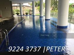 111 Emerald Hill (D9), Apartment #127347512